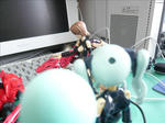 090323na3.jpg