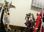090605na4.jpg