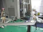 090809na5.jpg