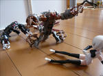 091208na12.jpg