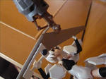 091209na6.jpg