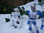 091221na5.jpg