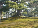 100224na15.jpg