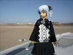 100403na2.jpg