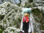 100410na8.jpg