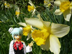 100410na9.jpg
