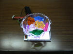 100411na58.jpg