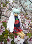 100419na2.jpg
