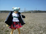 100424na1.jpg