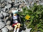 100424na2.jpg