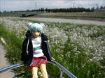 100424na5.jpg