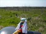 100502na7.jpg