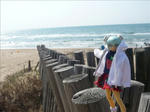 100502na8.jpg