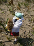 100502na13.jpg