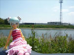 100531na2.jpg
