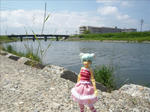 100531na5.jpg