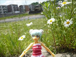 100531na17.jpg