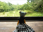 100709na6.jpg