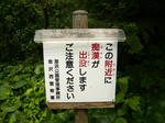 100709na13.jpg