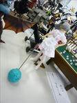 100725na56.jpg
