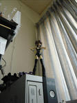 100806na5.jpg