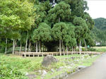 100929na11.jpg