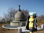 101120na13.jpg