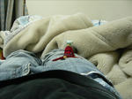 101204na2.jpg