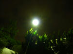 101231na12.jpg