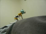 110118na6.jpg