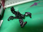 110122na4.jpg