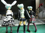 110208na2.jpg