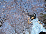 110412na3.jpg