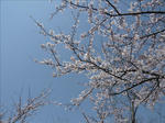 110414na7.jpg