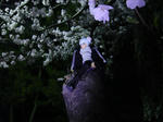 110417na4.jpg