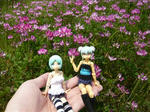 110516na8.jpg