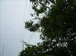 110531na1.jpg
