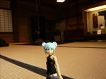 110612na5.jpg
