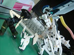 110706na2.jpg