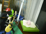 110707na5.jpg