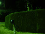 110717na17.jpg