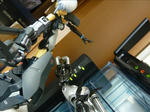 110719na44a.jpg