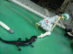 110804na8.jpg