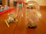 110903na6.jpg
