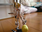 111008na25.jpg