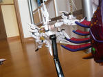 111008na32.jpg