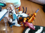 111008na81.jpg