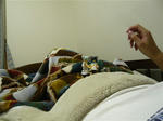 111011na4.jpg