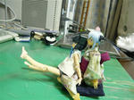 111104na1.jpg