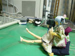 111104na4.jpg